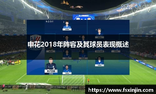 申花2018年阵容及其球员表现概述